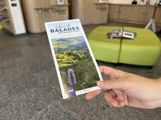 Idées de balades dans les Hautes-Vosges