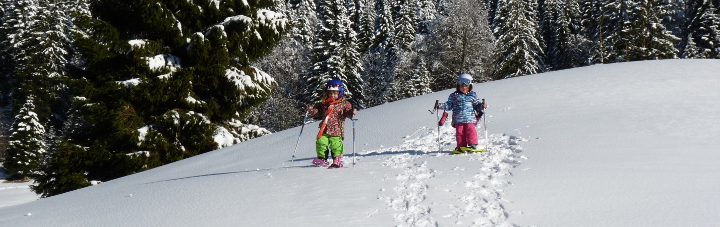 La Bresse Famille Plus Montagne