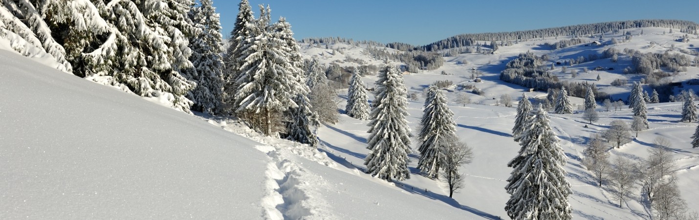 La Bresse Hautes Vosges