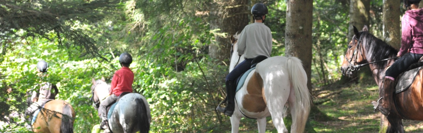 La Bresse Hautes Vosges Equitation