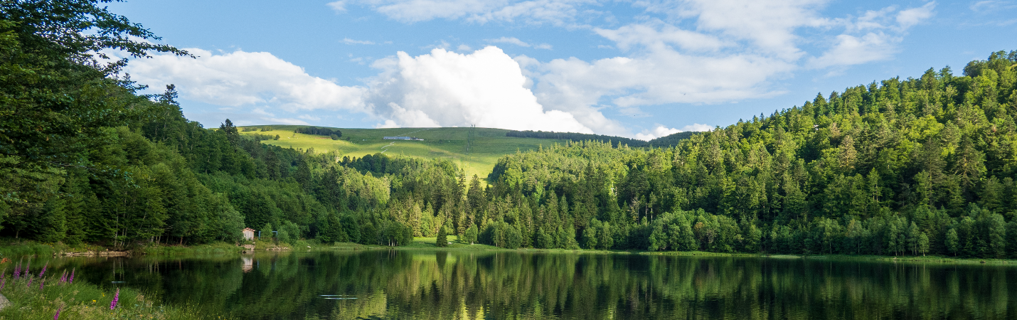 Lac de La Lande La Bresse Hautes Vosges