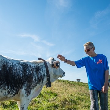 Boerderij / Opfok