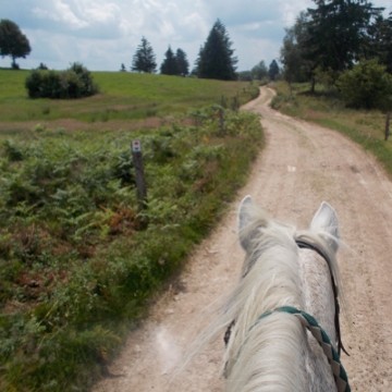 Horse riding