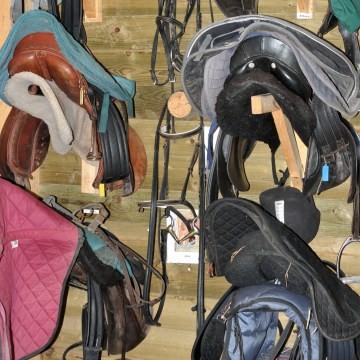 Reiten