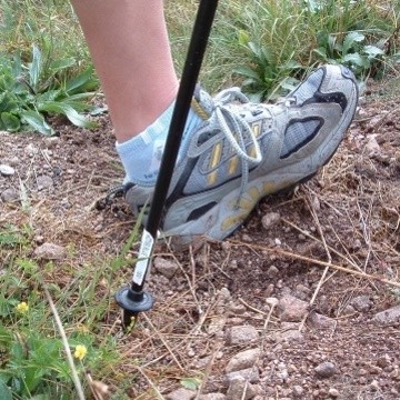 Nordic Walking