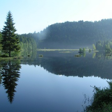 Patrimoine Naturel