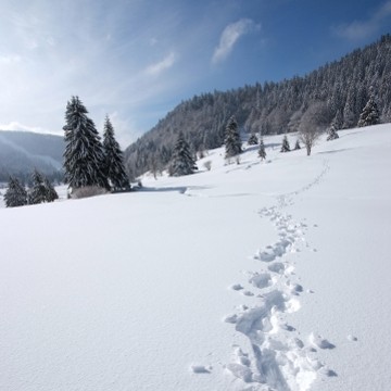 Patrimoine Naturel