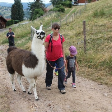 Hiking with animals