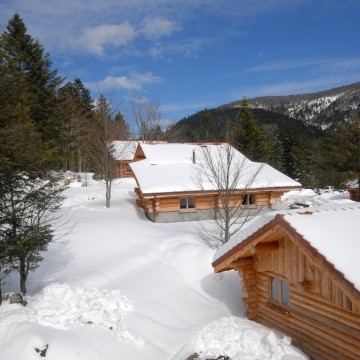 12 to 14 person-holiday rentals