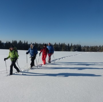 Schneewanderungen