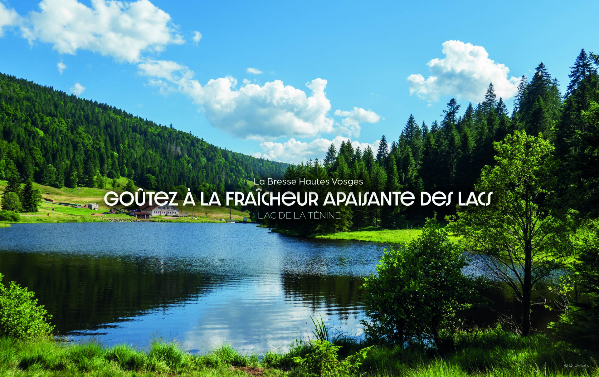Lacs-LBHV