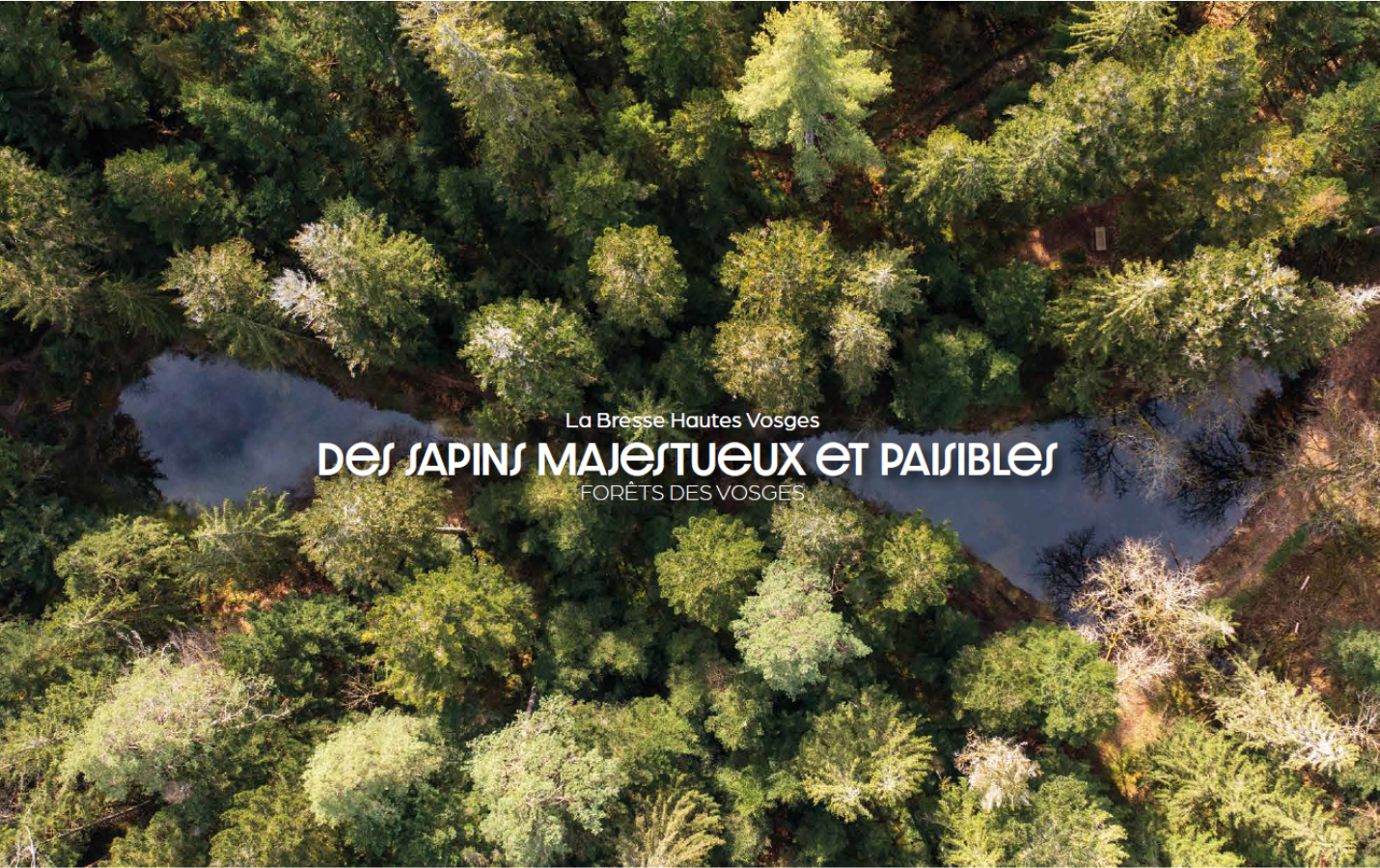 slider-printemps-25-lbvh