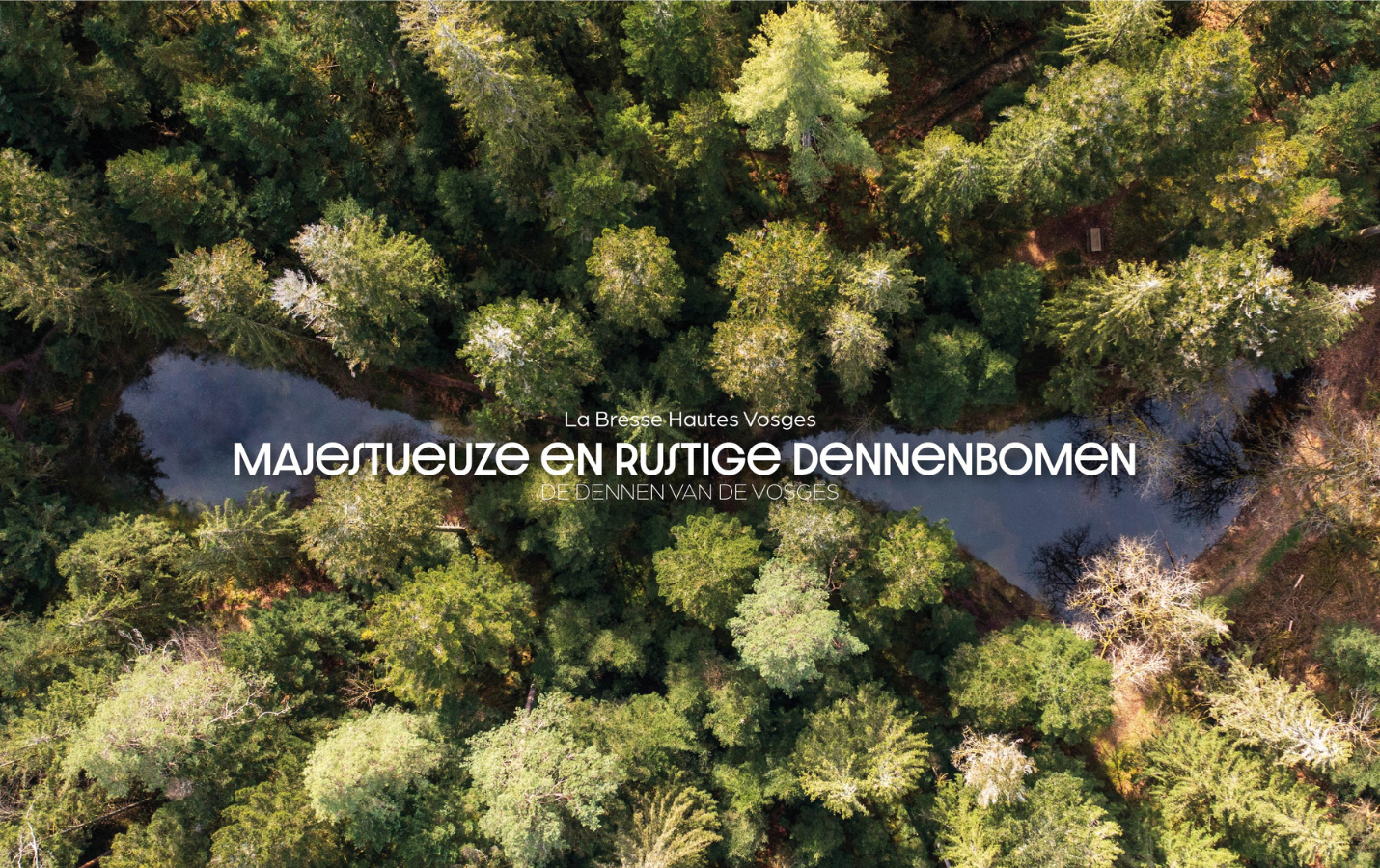 slider-printemps-25-lbvh-hol1