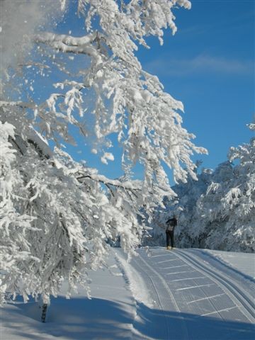 Domaine Nordique La Bresse LES CHAMPIS ©otl ESPRIT DECOUVERTE