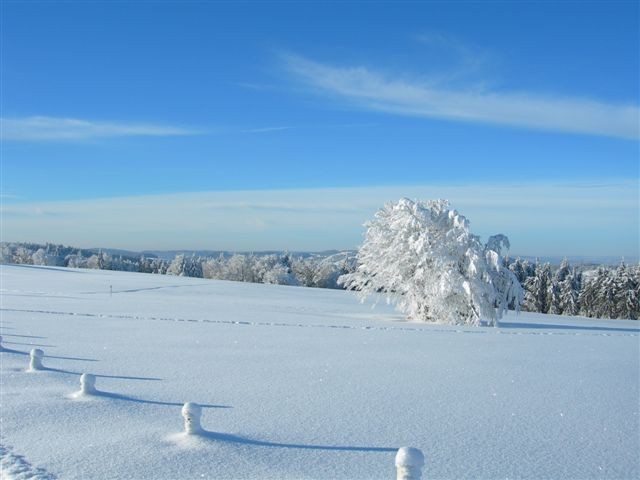 Domaine Nordique La Bresse Lispach