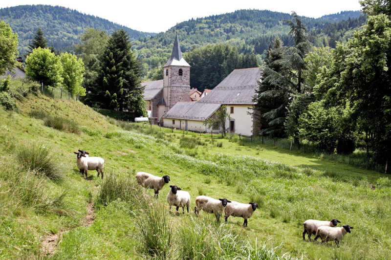 La Bresse Hautes Vosges Découvrir Rochesson