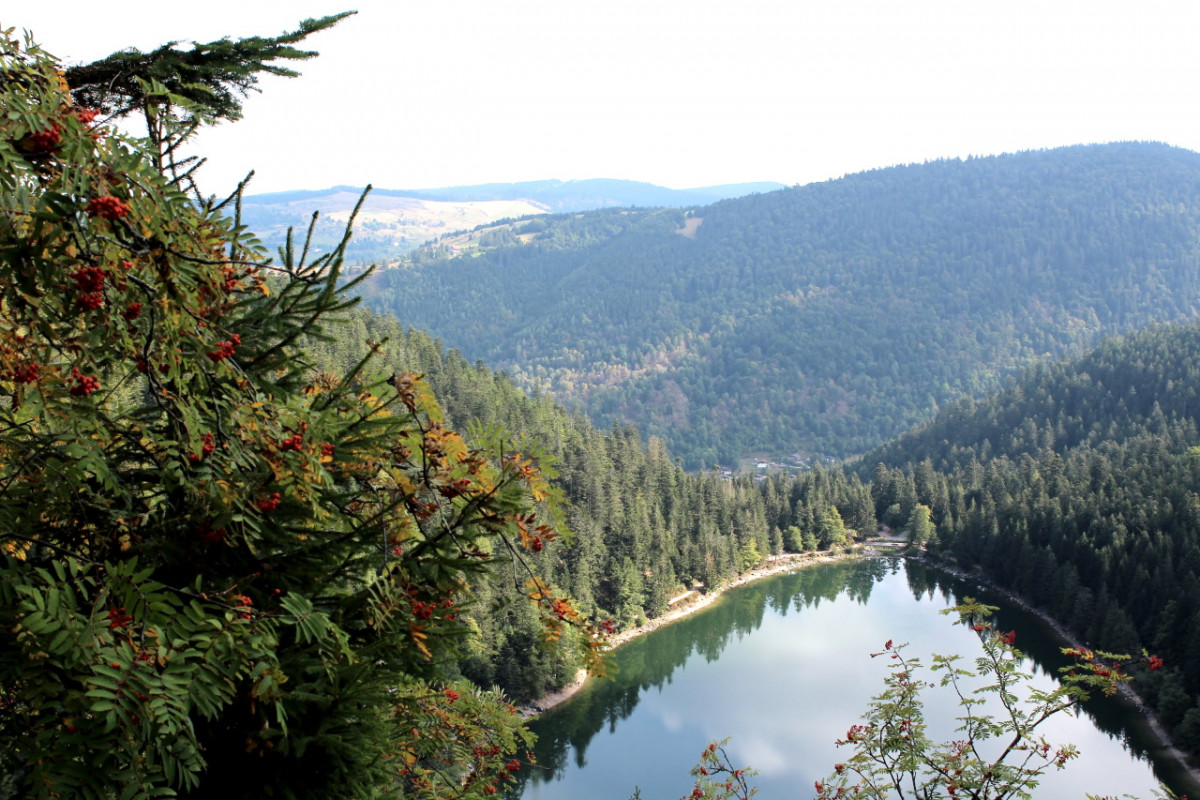 trail-roche-du-lac-office-la-bresse-1