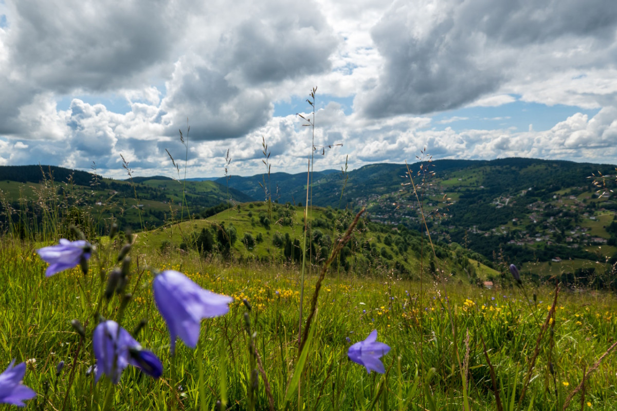 circuit-trail-la-crete-de-moyenmont-la-bresse-1