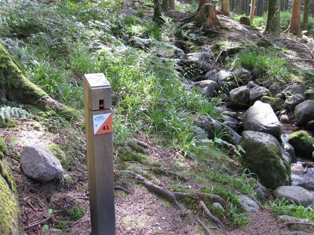 parcours-ludiques-orientation-la-bresse-2