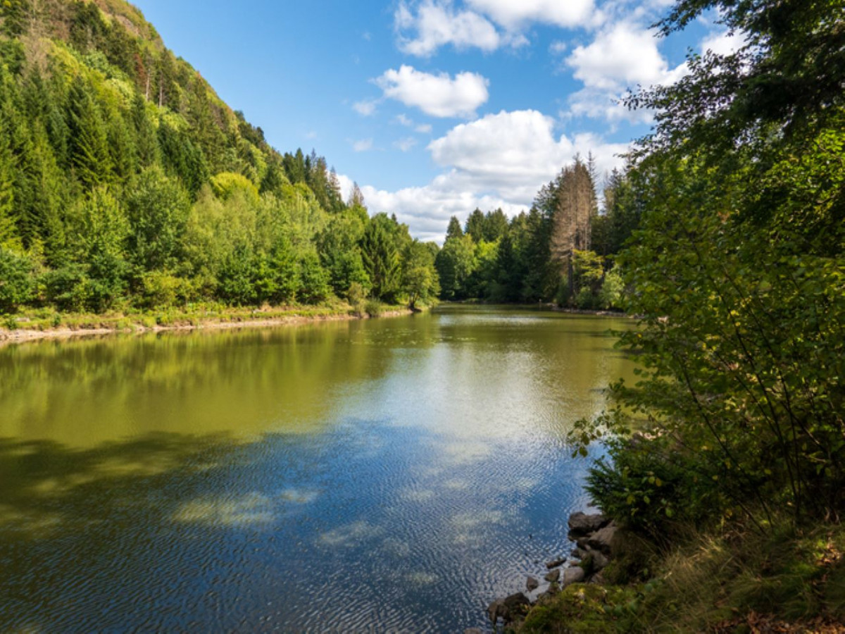 etang-des-fees-saulxures-sur-moselotte-1
