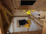 Perce Neige Eden Spa - Chalet 2 personnes - Ventron La Bresse Hautes Vosges