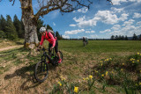 sports-passion-location-cycles-la-bresse-1