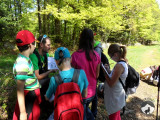 cham-vosges-aventures-randonnee-pedestre-5