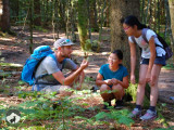 cham-vosges-randonnee-pedestre-6
