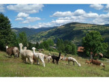 hotel-restaurant-le-couchetat-la-bresse-8