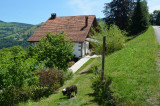 ferme-du-vieux-sapin-holtzer-la-bresse-1
