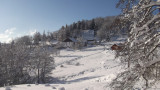 ferme-du-vieux-sapin-holtzer-la-bresse-2