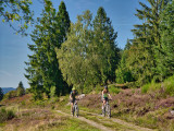 circuit-vtt-ronde-bruche-ventron-2