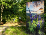 balade-photographique-de-la-vierge-cornimont-2