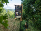 balade-photographique-de-la-vierge-cornimont-5