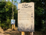 balade-photographique-de-la-vierge-cornimont-9