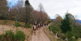 Crins-des-vosges-monitrice-equestre-la-bresse-5