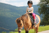 Crins-des-vosges-monitrice-equestre-la-bresse-6