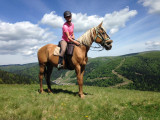 Crins-des-vosges-monitrice-equestre-la-bresse-4