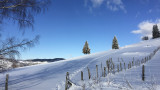 verticales-vosges-raquettes-la-bresse-2