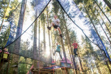 Bol-dair-le-bois-des-lutins-la-bresse-4