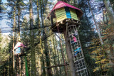 Bol-dair-le-bois-des-lutins-la-bresse-5