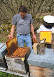la-miellerie-du-mettey-producteur-gerbamont-2