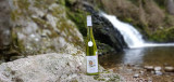 lecomte-blaise-specialite-du-terroir-nol-le-syndicat-8