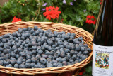 lecomte-blaise-specialite-du-terroir-nol-le-syndicat-10