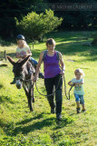 ferme-des-pres-en-bulles-locations-d-anes-sapois-1