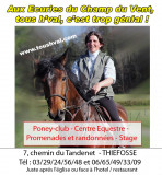 ecurie-du-champ-du-vent-thiefosse-3