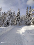 ski-nordique-haut-du-tot-sapois-4