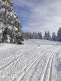 ski-nordique-haut-du-tot-sapois-5