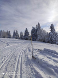 ski-nordique-haut-du-tot-sapois-6