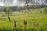 randonnees-photos-gounant-saulxures-sur-moselotte-2